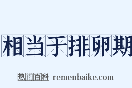 相当于排卵期是什么意思的图片